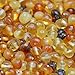 Baltic Amber Loose Beads 10g.(About 80-100 pcs) - Mixed Colors - 100% Genuine Baltic Amber Guaranteed