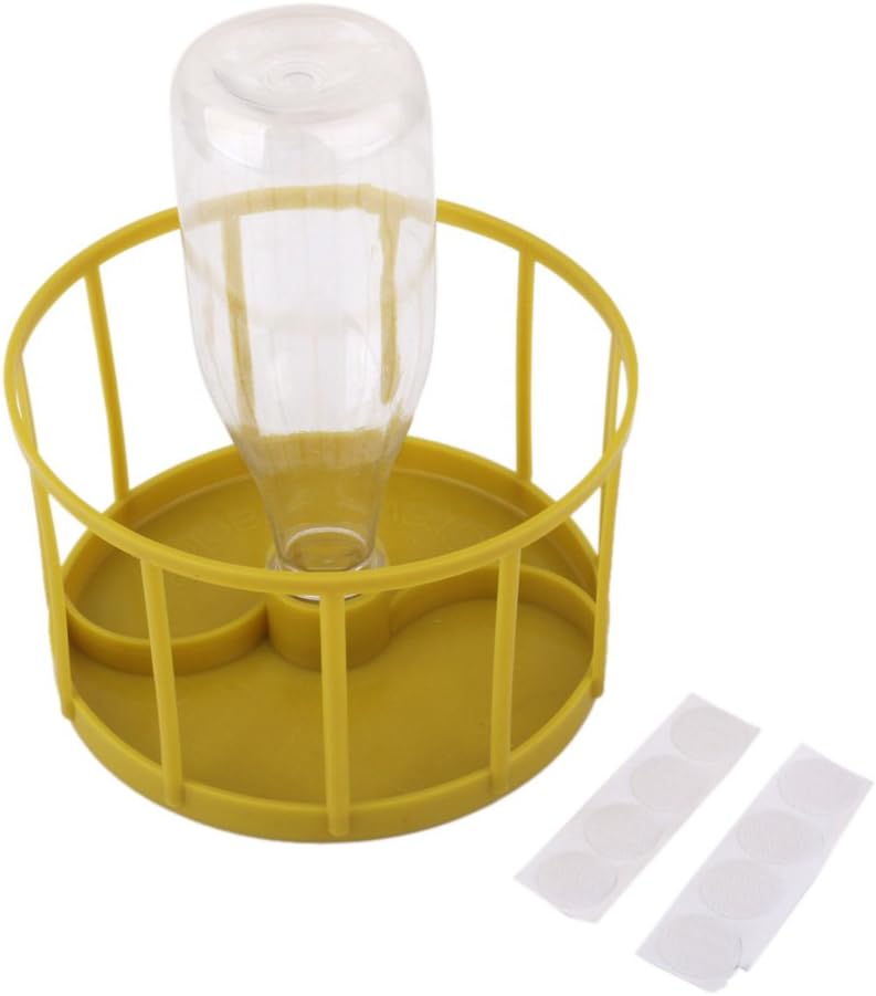 automatic tortoise feeder