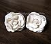 Ivory Rose Wedding Birde Hair Flower Clip Barrette- One Pair