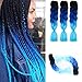 Ombre Kanekalon Braiding Hair Extensions 24