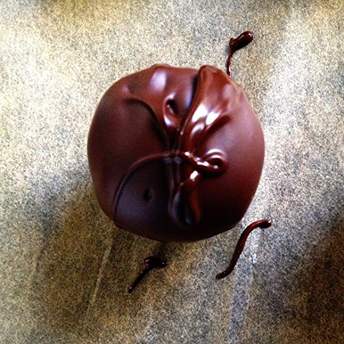 image for Grow and Make Deluxe DIY Chocolate Making Kit - Learn how to make your