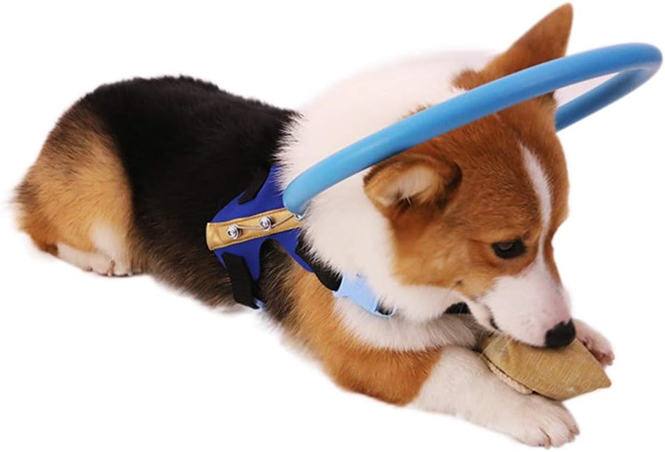 Wishwin Blind Dogs Harness Vest Pet Safe Halo Ring for Protect Blind or Visually Impaired Pet for Prevent Collide Wall