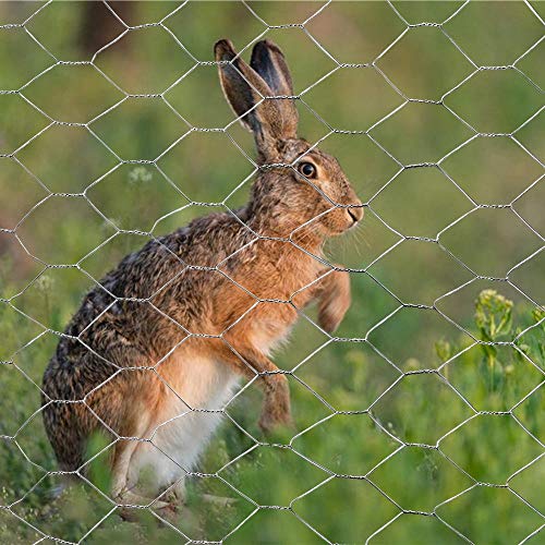 MTB 20GA Galvanized Hexagonal Poultry Netting