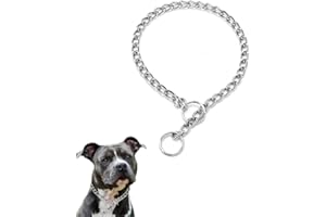 Silver Small Choker Collar for Dogs Choke Chain Link Training Collar Pet Metal P Slip Puppy Martingale Collars for XXS XS Med