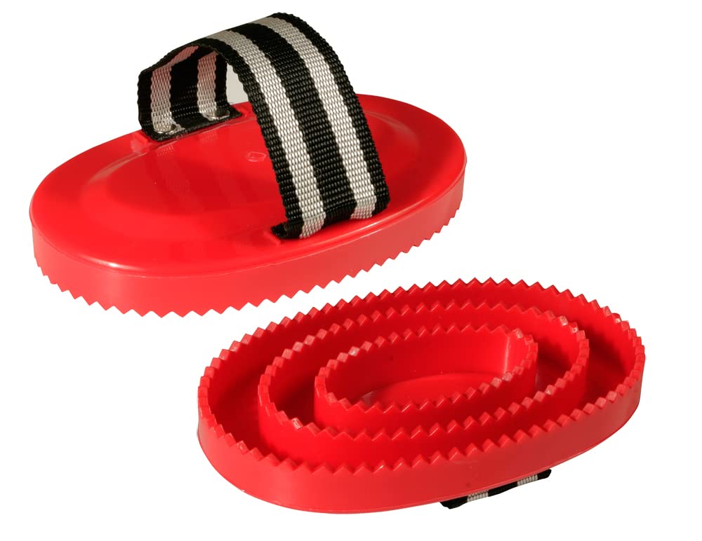 PFIFF Plastic Brush, Oval, Blue