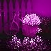 Qedertek Solar Flower String Lights, Cherry Blossom 22ft 50 LED Waterproof Outdoor String Lights for Patio,Lawn,Garden,Holiday and Festivals Decorations (Pink)