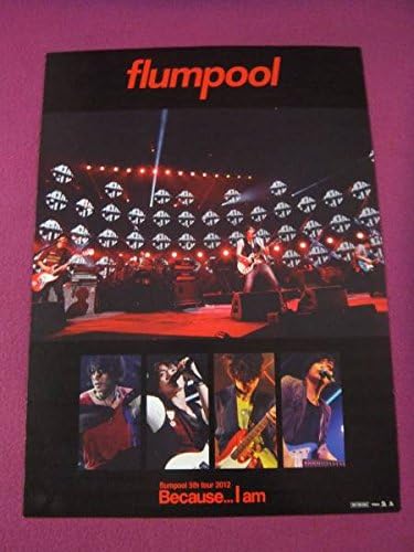 E1406珍品ポスターflumpoolフランプール Because I Am アニメ 萌えグッズ 通販 Amazon