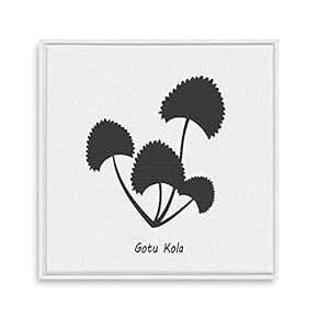 Framed Canvas Wall Art for Living Room, Bedroom Nordic Style Plants Theme Canvas Prints for Home Decoration Ready to Hang - 16x16 inches