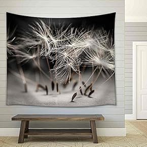 Macro Closeup of Dandelion Seeds Standing Up on Gray and Black Background - Fabric Wall Tapestry Home Decor - 51x60 inches