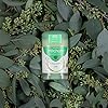 Mitchum Women 24HR Natural Vegan Deodorant Stick with 96% Natural Ingredients (40g) Aluminium Free, Eucalyptus Scent…