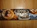Draft Stopper, Filled with Fragrant Balsam, Large Diameter 3" (Platinum Plus) - Big Cats