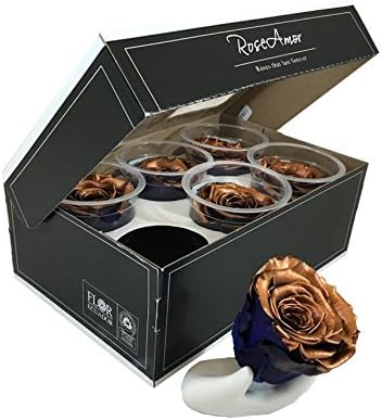 Preserved roses 6 pack extra large head roses metalized color Cooper