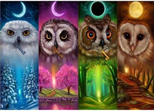 Eletty 5D Rhinestone Diamond Embroidery Painting, Color Of Colorful Owl Same As The Moon Above 30X40 Cm Cross Stitch Bedroom Decor