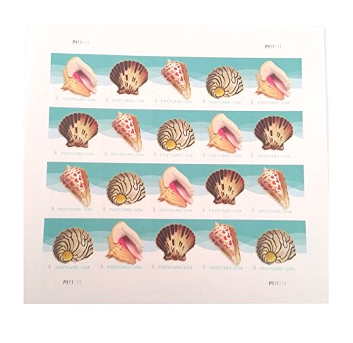 Seashells Postcard Stamp USPS Forever Stamps, Sheet of 20 - US Postage Card Stamps (Sheet of 20 Stamps)