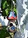 Hand-Painted Mushroom Birdhouse with Flowers and Butterfly, Garden Decor