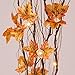 LIGHTSHARE 36 Inch 16LED Natural Lighted Willow Twig Branch, Maple Leaf, Built-in Timer, USB Plug-in and Battery Powered, Décor for Home, Festival, Party, Christmas, Night Light