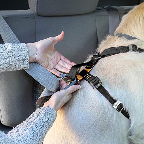 Kurgo TruFit Enhanced Strength Dog Harness, Crash Tested Car Safety