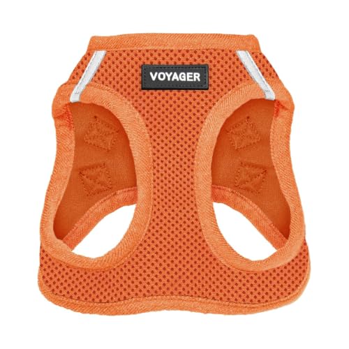 Best Pet Supplies Voyager Step-in Air Dog Harness - All Weather Mesh Step in Vest Harness for Small and Medium Dogs and Cats by - Harness (Orange), XX-Small