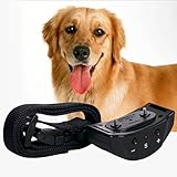 New Bark collar for dogs