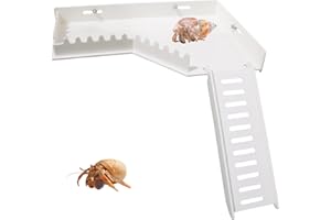 BingegePet No-Drill Climbing Platform with Ramp, Hermit Crab Climbing Wall & Hideout, Multi-Level Platform with Ladder, No-Tools Mounting for Geckos, Small Lizards, Hamsters