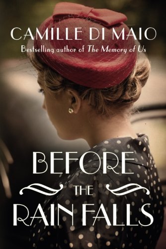 Before the Rain Falls: A Novel