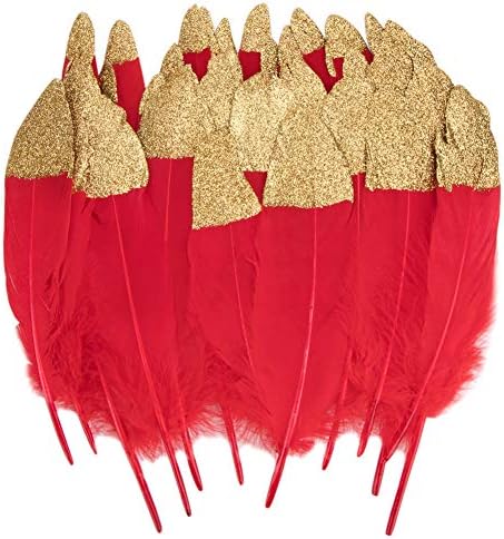 Feathers for Crafts, 40 Pcs Goose Gold/Silver Dipped Natural Red/Black Feathers for DIY Dream Catchers Craft Wedding Themed Party Centerpieces Decorations (Feathers E)