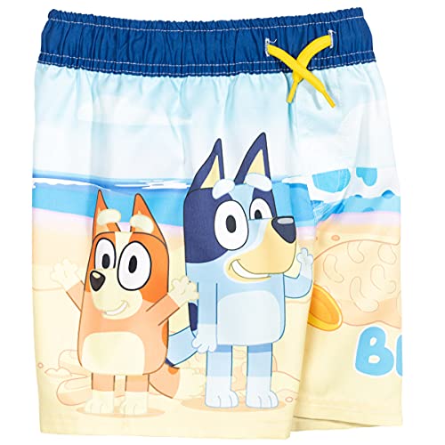 Bluey and Bingo Little Boys Raglan 2 Piece Rash Guard & Swim Trunks Set
