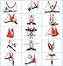 EuroSports High Load Capacity Aerial Yoga Swing/Inversion/Hammock/Sling For Flying Antigravity With a Carrying Bag