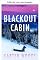 Livro Cabana do apagão: um thriller pós-apocalíptico EMP em uma pequena cidade (Sobrevivência ao EMP em um mundo sem energia Livro 84)