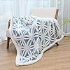 LOMAO Sherpa Fleece Blanket Fuzzy Soft Bed Blanket Dual Sided Throw Blanket fit Couch Sofa (Light Blue,51x63 inch)