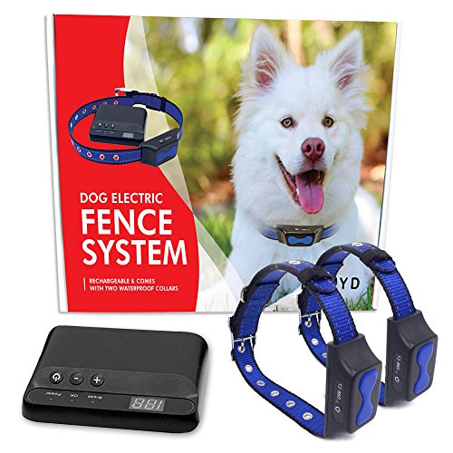Buy Floyd Invisible Electric Fence for Dogs Perimeter Fence Prevents