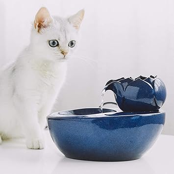 ceramic cat water bowl