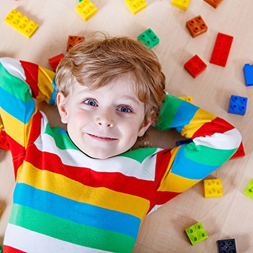 Building Blocks Bulk for Kids Bricks Plates Classic Learning Educational Toys Gift (90PCS)