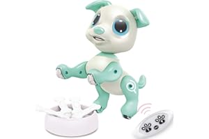 BIRANCO. Interactive RC Dog Toy - Cute Gesture Sensing Puppy for Toddlers, STEM Play, Ideal Holiday/Birthday Gift for 3-8 Year Olds