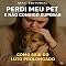 Livro Perdi Meu Pet e Não Consigo Superar: Como Sair do Luto Prolongado (COMO SUPERAR A PERDA DO MEU PET)