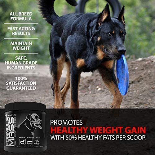 MVP K9 Supplements Formula Mass Weight Gainer for Dogs (90 Servings