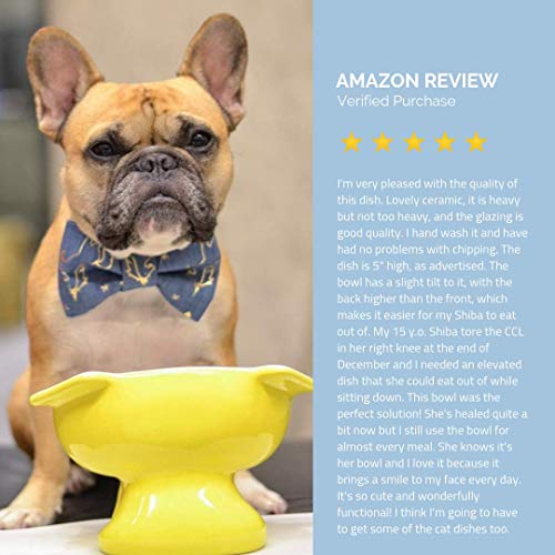 Vivipet Premium Elevated Dog Feeder Single Raised Dog Bowl