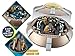 Doctor Who Character Building Dalek Spaceship Set (6+)