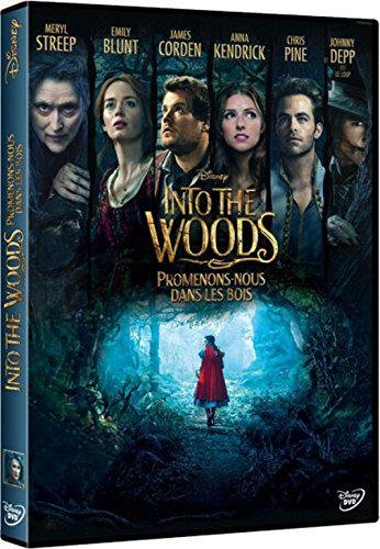 Into the Woods : Promenons-nous dans les bois