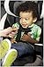 Evenflo Securekid DLX Booster Car Seat, Grayson