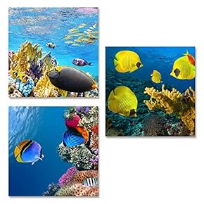Canvas Wall Art Tropical Theme Sunshine...