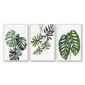 Framed Canvas Wall Art for Living Room, Bedroom Beautiful Plants Cactus Canvas Prints for Home Decoration Ready to Hanging - 16"x24"x3 Panels