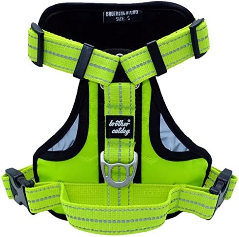 No Pull Dog Harness - Soft &amp; Comfortable Neoprene Padded Training Harness with Handle for Small, Medium and Large Dogs (S, Fluorescence Green)
