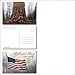 US National Parks postcards pack - Set of 25 individual postcards featuring America’s national parks and natural landmarks