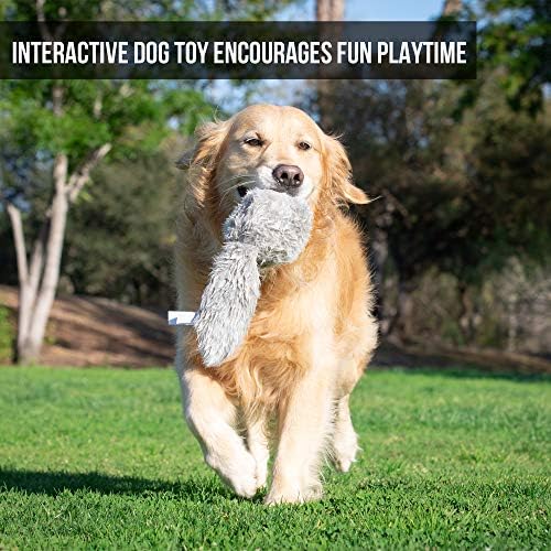 hyper pet doggie tail dog toy