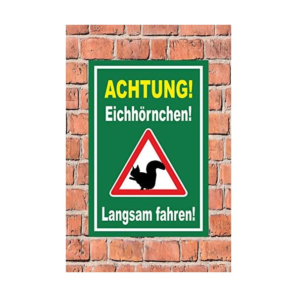 Melis-Folienwerkstatt Schild EichhÃ¶rnchen langsam Fahren - 45x30cm - BohrlÃ¶cher - 3mm Hartschaum â 20 VAR S00359-160-E – Bild 3