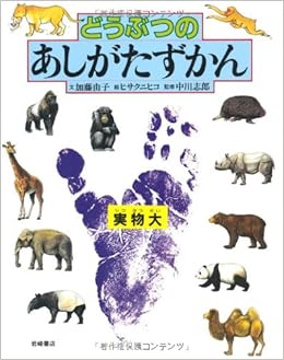 どうぶつのあしがたずかん 絵本図鑑シリーズ 加藤 由子 クニヒコ ヒサ 本 通販 Amazon