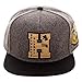 Harry Potter Hogwarts Alumni Hufflepuff Snapback Baseball Hat Grey