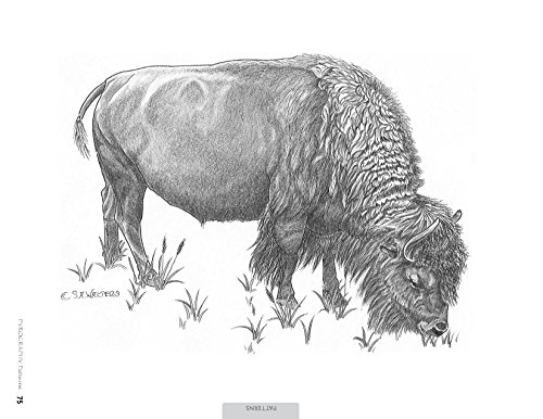 Pyrography Patterns: Basic Techniques and 30 Wildlife Designs for ...