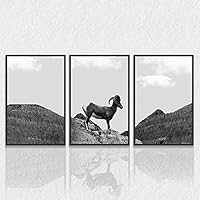 3 Piece Framed Canvas Wall Art Black and White Horse Standing in The Mountain Canvas Prints Home Artwork Decoration for Living Room,Bedroom - 16